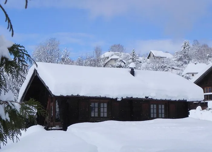 Le Petit Skieur B&B