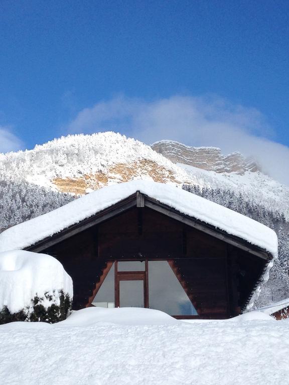 Le Petit Skieur Chalé